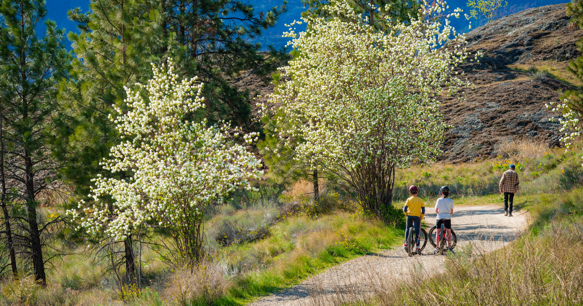 Kids explore Knox Mountain on a spring day by bike.