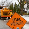 Orange tree pruning sign in front of vested city worker placing pruning material in chipping machine on city street