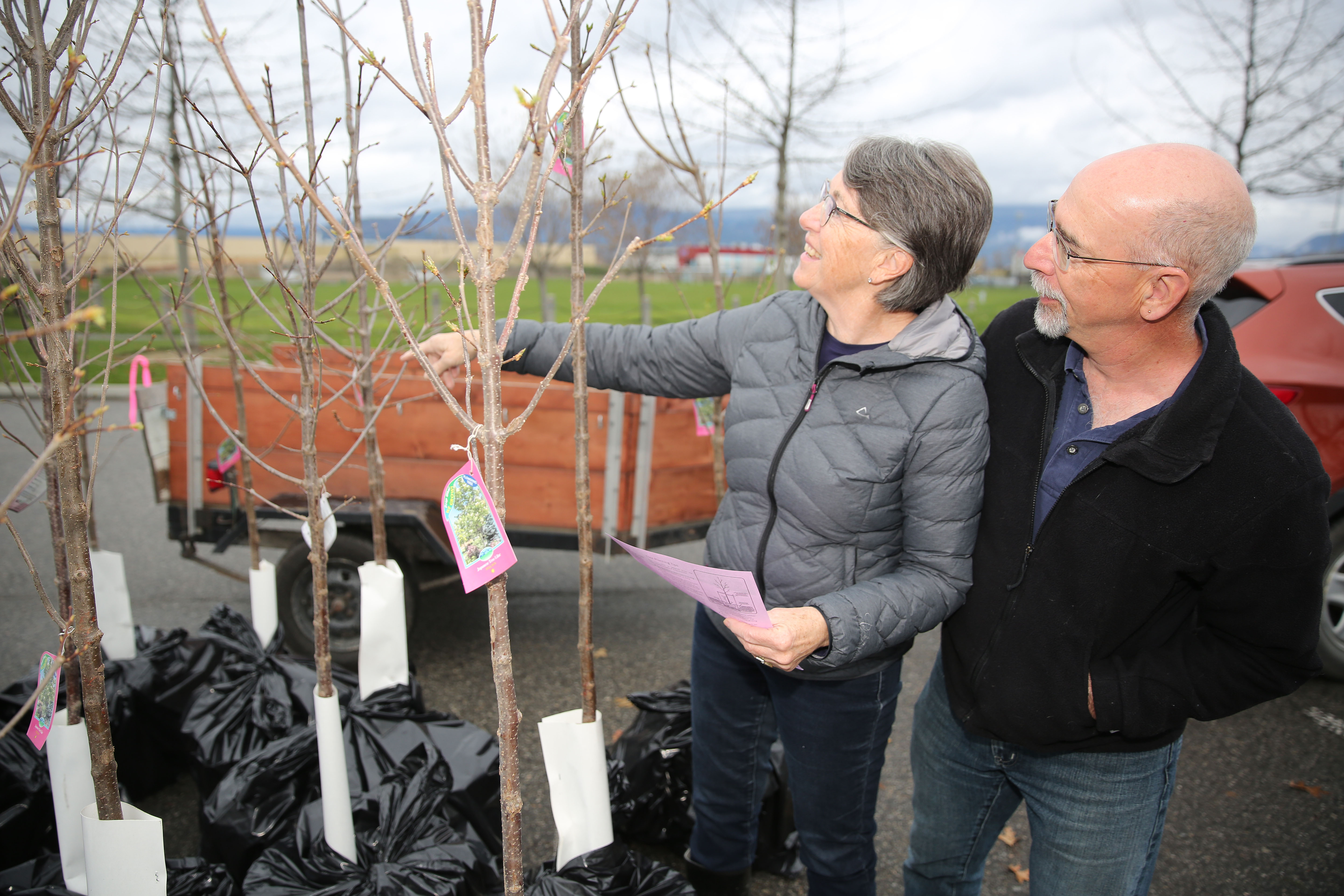 2019 NeighbourWoods tree picking