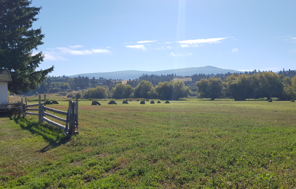 Agricultural Land Reserve 