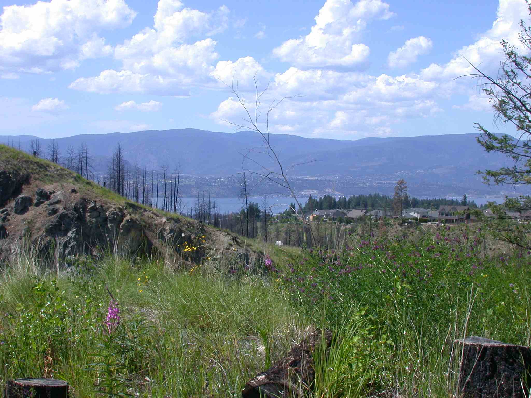 Regional & provincial parks | City of Kelowna